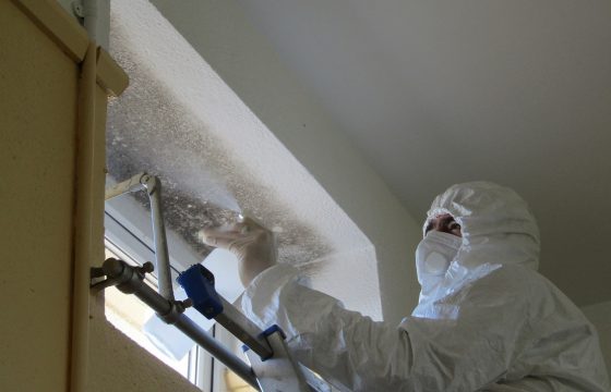 Mould infected school