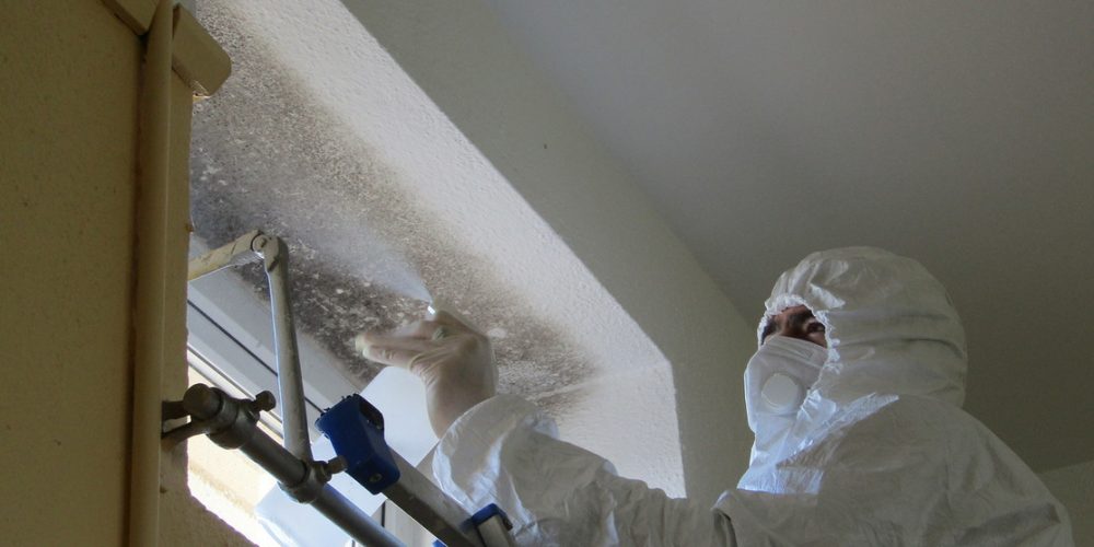 Mould infected school